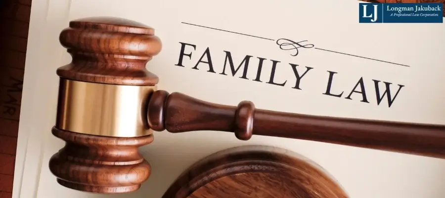 Baton Rouge Family Lawyer