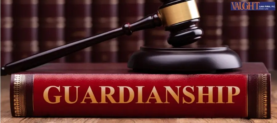 Best Baton Rouge Guardianship Lawyer